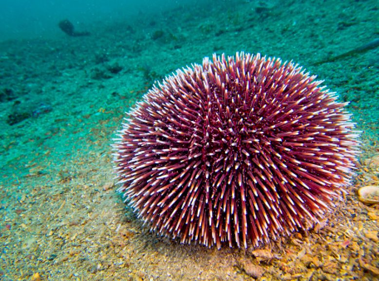 Events We’ll Be Attending in 2025 Simwood